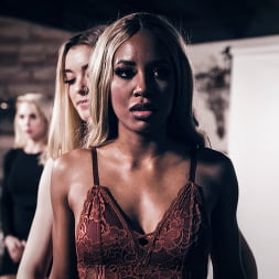 Afrodisiac: A Demi Sutra Story