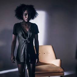 Afrodisiac: A Demi Sutra Story