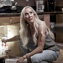 A Housewife Scorned