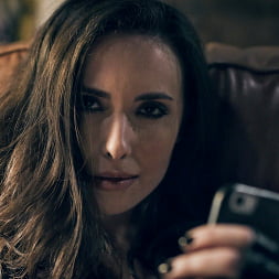 The Starlet: A Casey Calvert Story