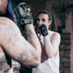 The Starlet: A Casey Calvert Story