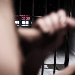 The Countdown