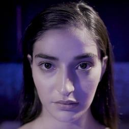 Future Darkly: The Love Hotel